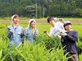 派遣職員を募集いたします！